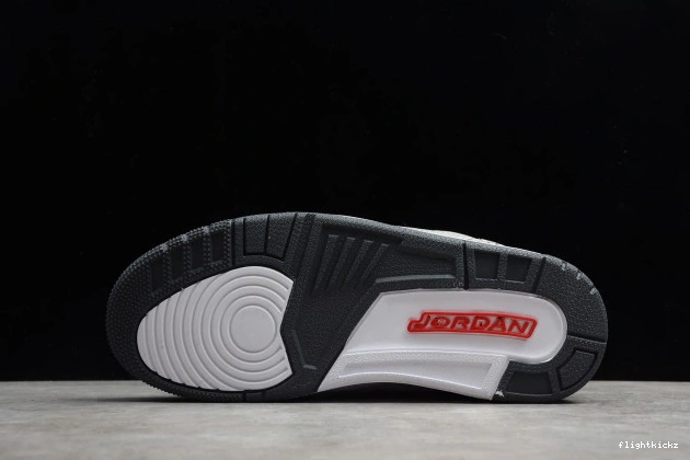 (2021) 3 Jordan Cool Air Retro Grey CT8532-012 0817